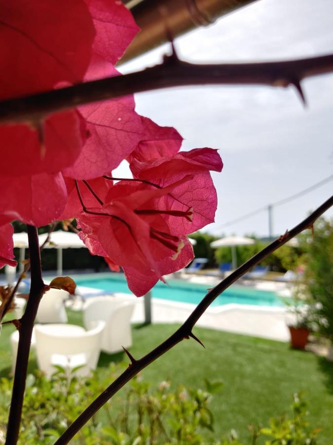 קרדדו Natur Hotel Tanca מראה חיצוני תמונה