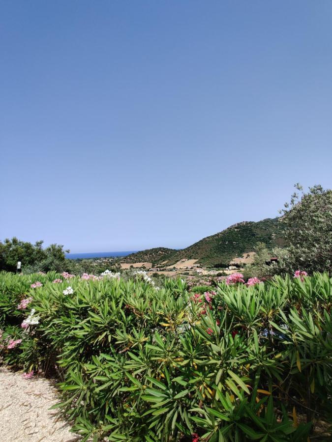 קרדדו Natur Hotel Tanca מראה חיצוני תמונה