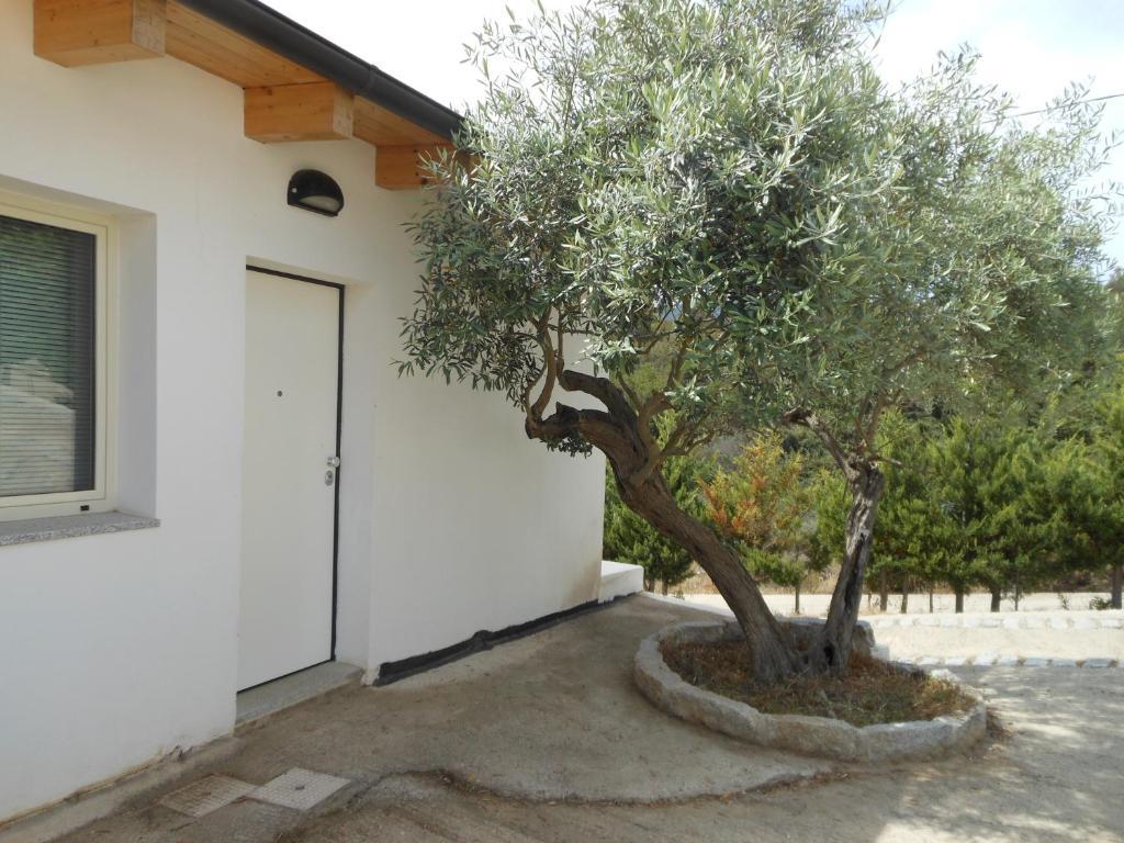 קרדדו Natur Hotel Tanca מראה חיצוני תמונה