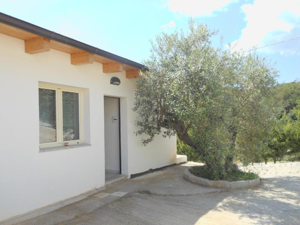 קרדדו Natur Hotel Tanca מראה חיצוני תמונה